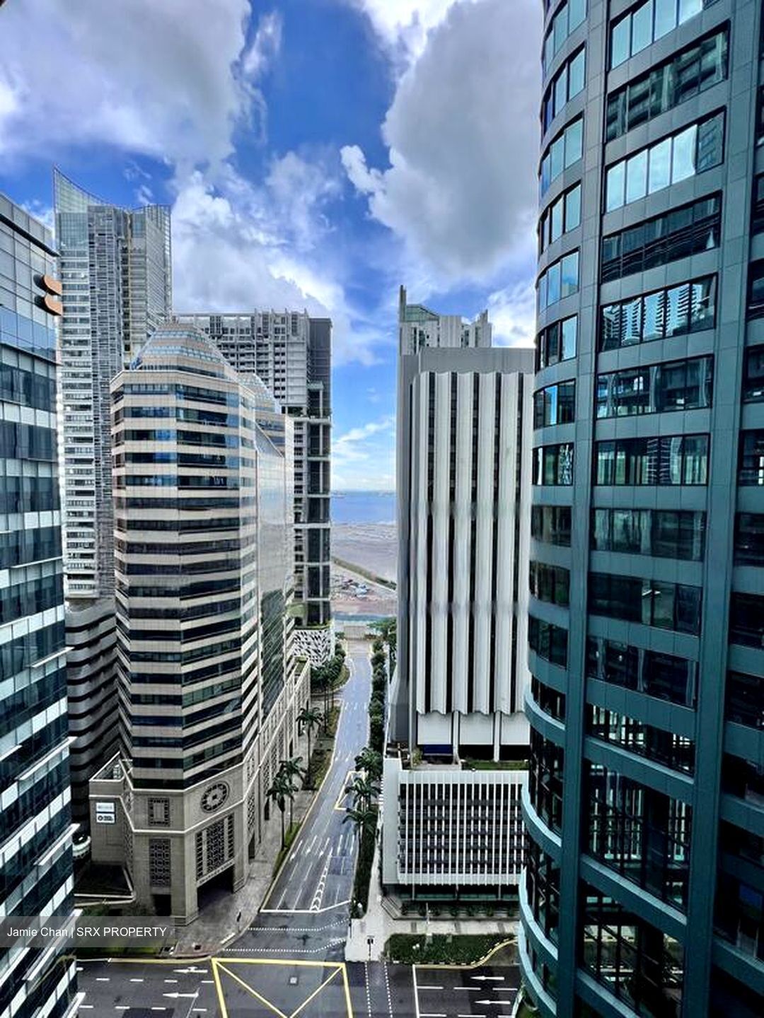Skysuites@Anson (D2), Apartment #468104791